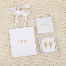 Christian Dior Earrings